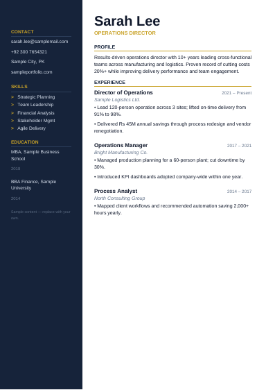 Executive resume PDF template preview